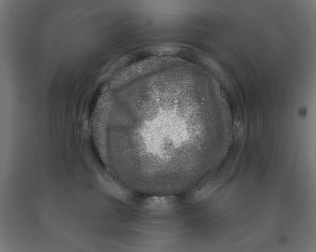 X0000090870381200708241925