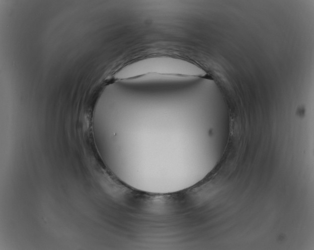 X0000090870382200708241925