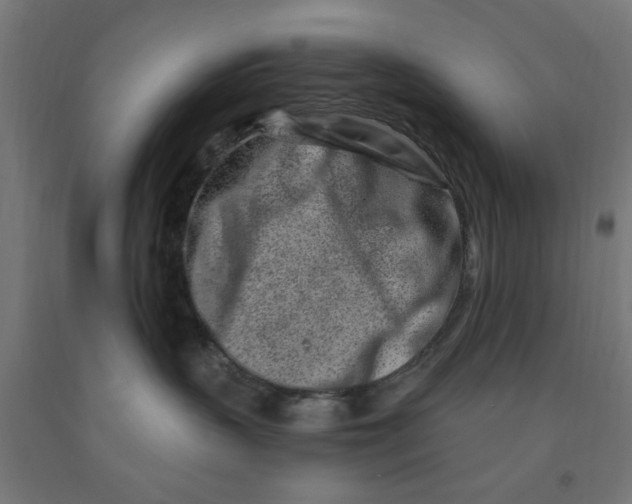 X0000090870383200708241925