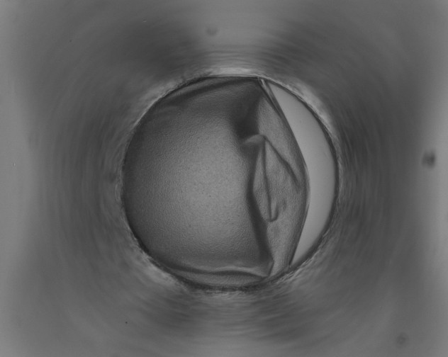 X0000090870385200708241924