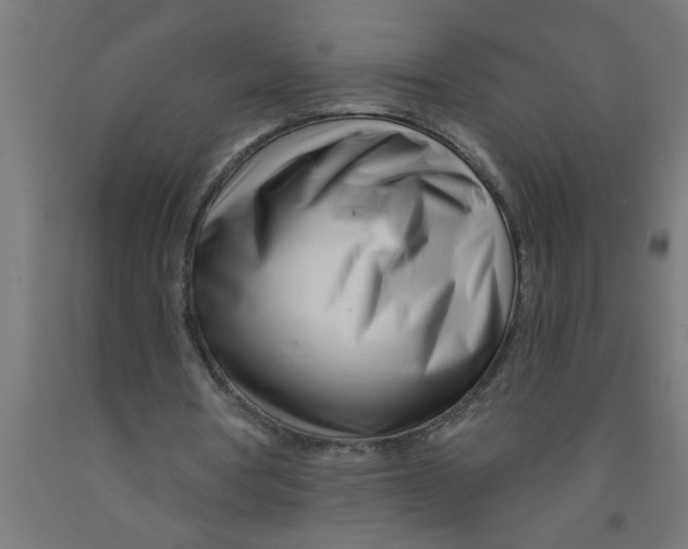 X0000090870386200708241924