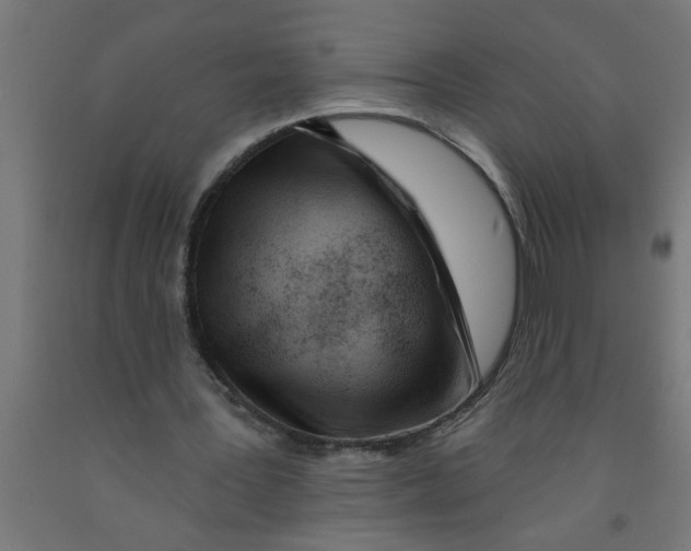 X0000090870387200708241924