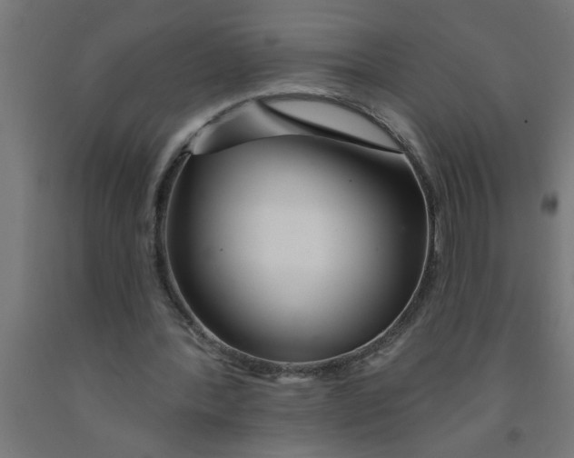 X0000090870388200708241924