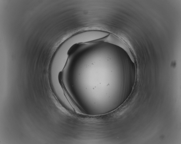 X0000090870389200708241924