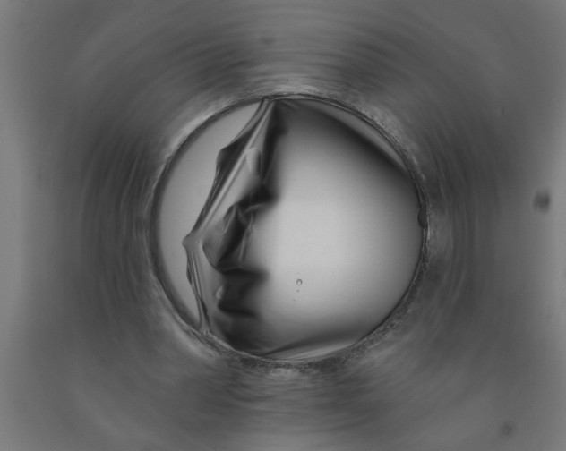 X0000090870390200708241924