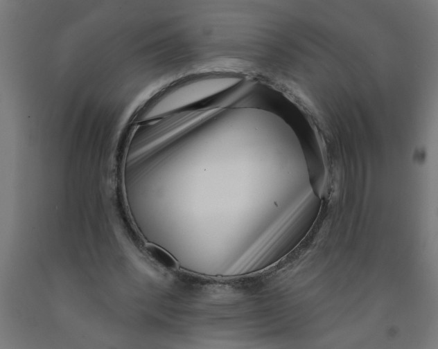 X0000090870392200708241924