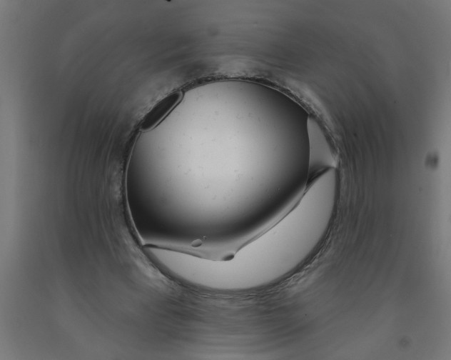 X0000090870393200708241924