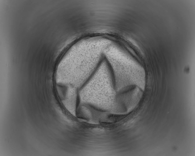 X0000090870394200708241924