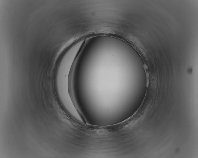 X0000090870395200708241924