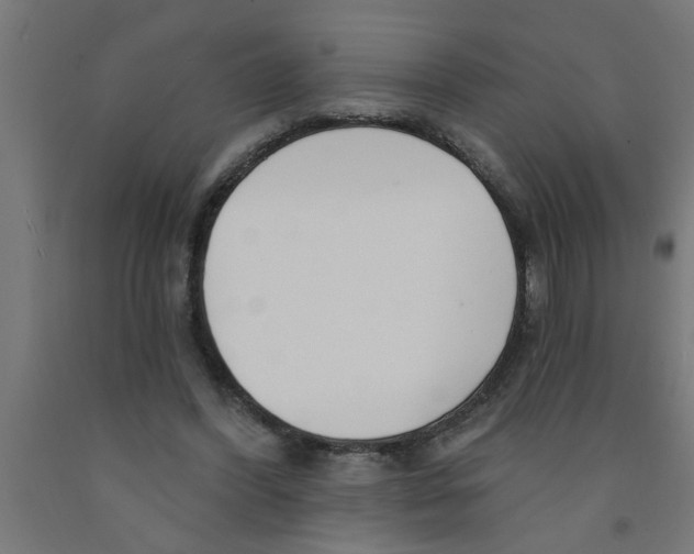 X0000090870396200708241924