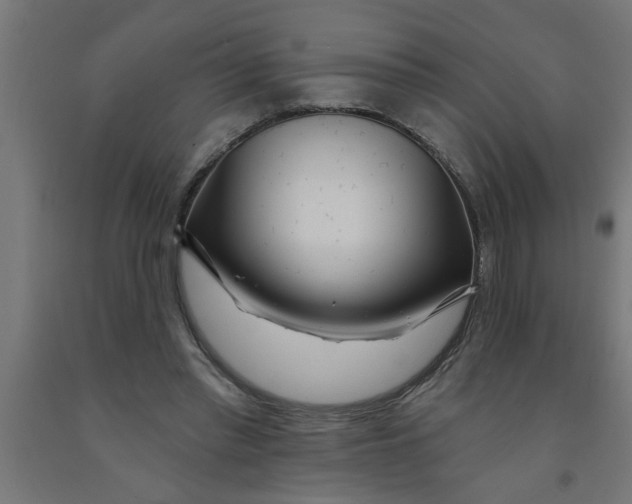 X0000090870397200708241924