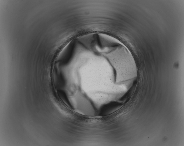 X0000090870398200708241924