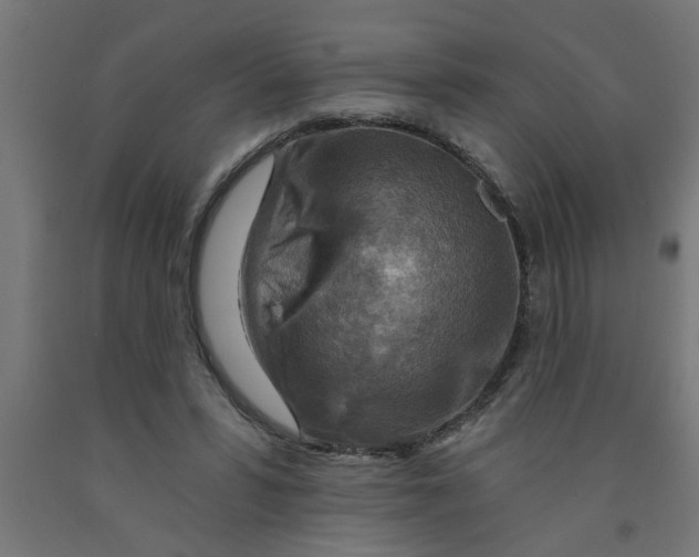 X0000090870399200708241924