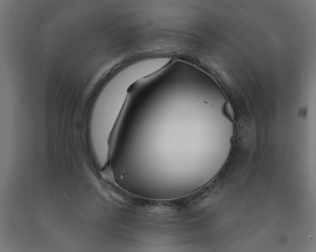 X0000090870400200708241924