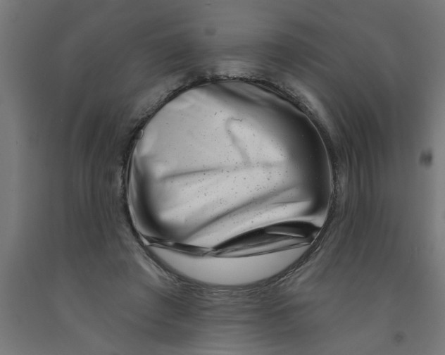 X0000090870401200708241924