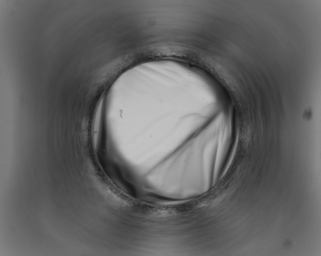 X0000090870402200708241924