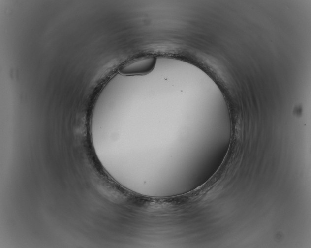 X0000090870403200708241924