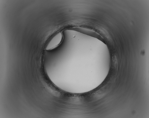 X0000090870404200708241924