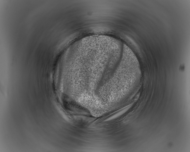 X0000090870405200708241924