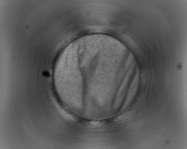 X0000090870406200708241924