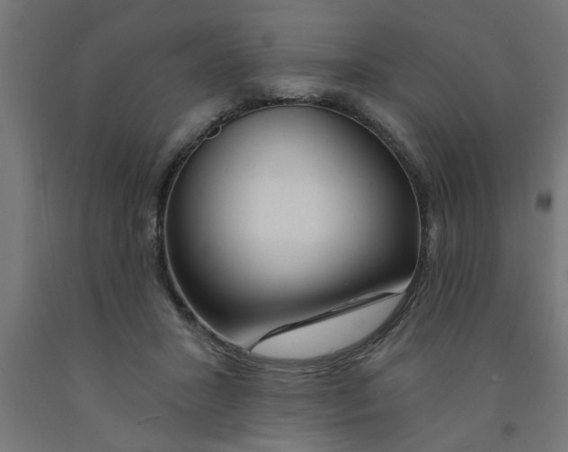 X0000090870407200708241924