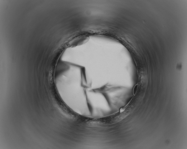 X0000090870408200708241924