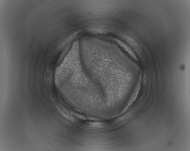 X0000090870409200708241924