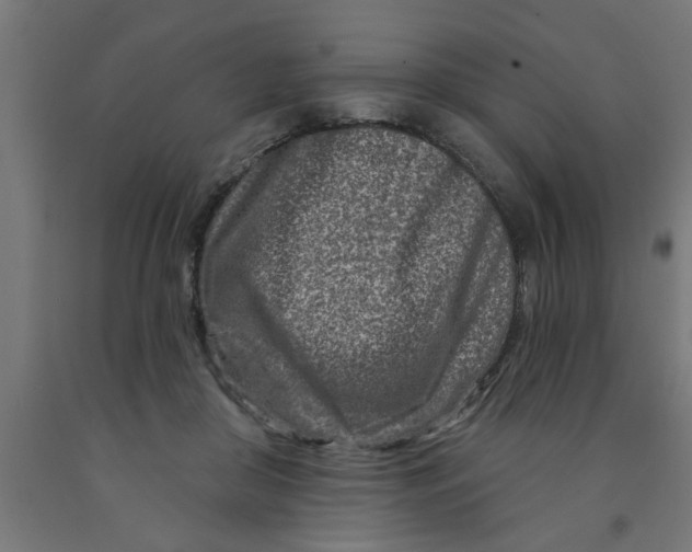 X0000090870410200708241924