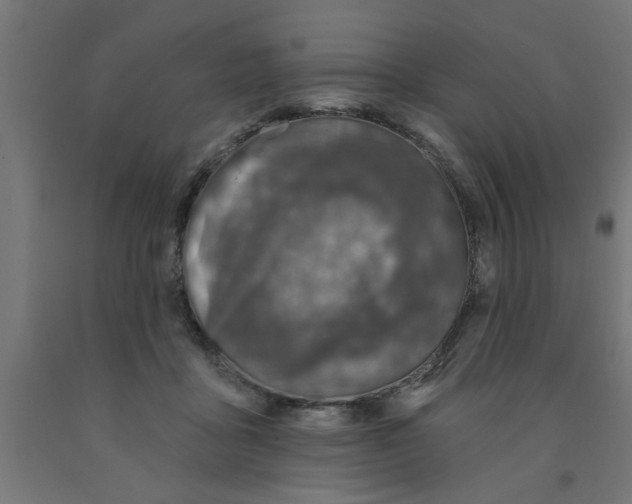 X0000090870411200708241924