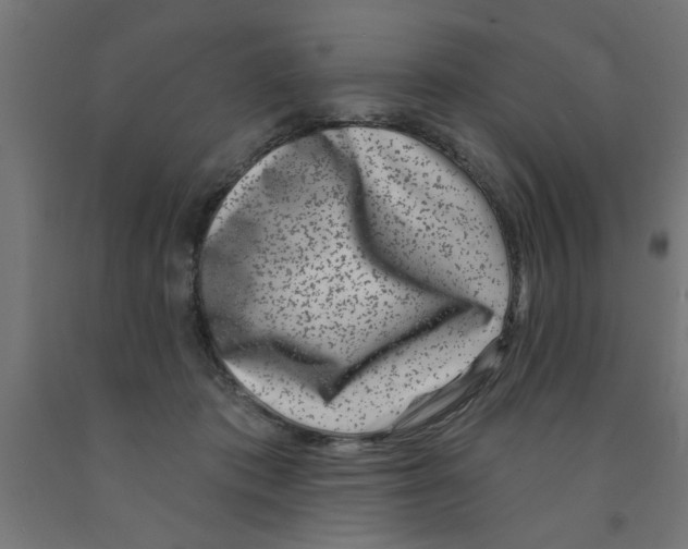 X0000090870413200708241924