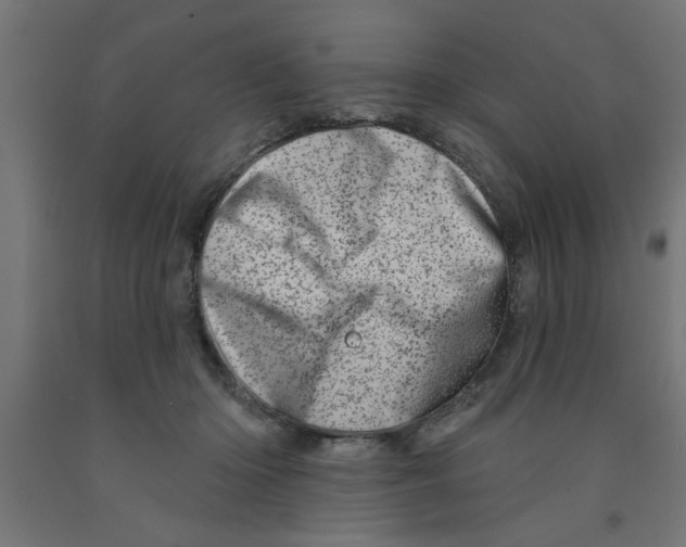 X0000090870414200708241924