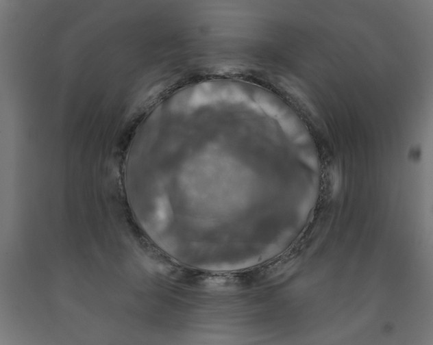 X0000090870415200708241924