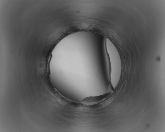 X0000090870416200708241924