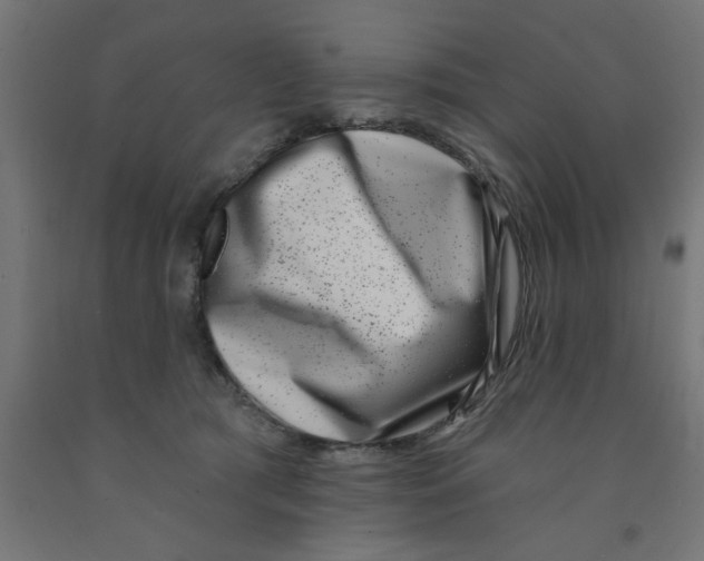 X0000090870417200708241924