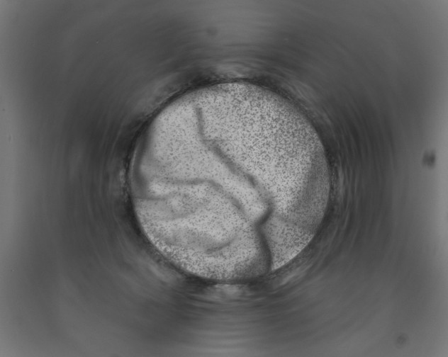 X0000090870418200708241924