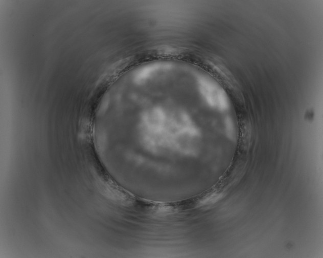 X0000090870419200708241924