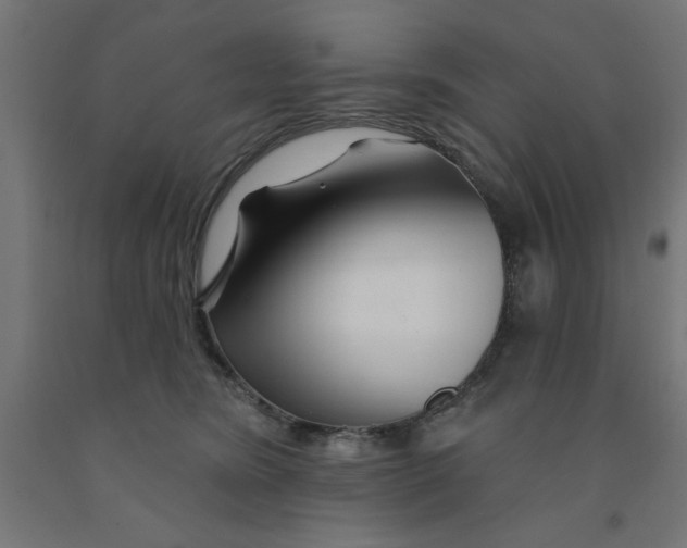 X0000090870420200708241924