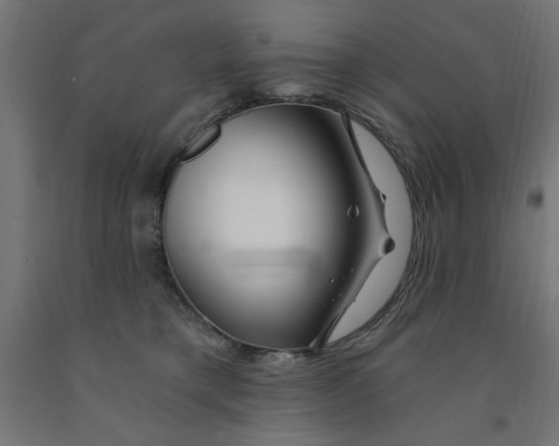 X0000090870421200708241924