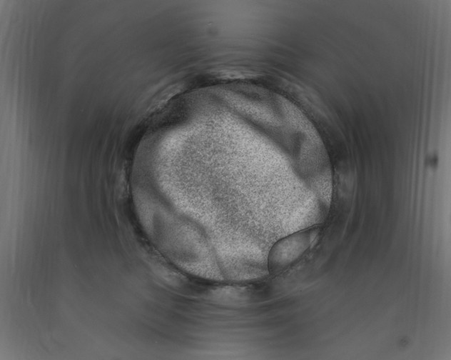 X0000090870422200708241924