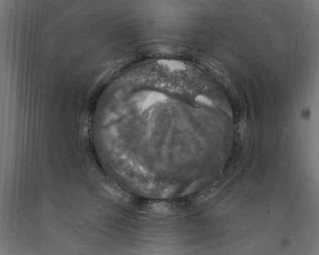 X0000090870423200708241924