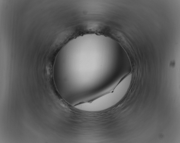 X0000090870424200708241924