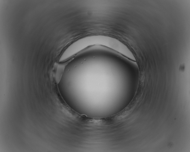 X0000090870428200708241923