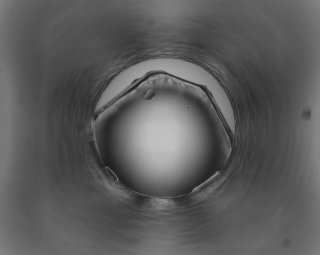 X0000090870429200708241923