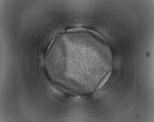 X0000090870430200708241923