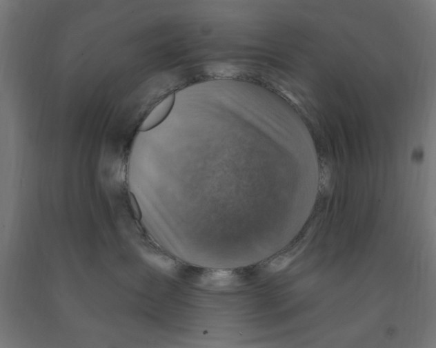 X0000090870431200708241923