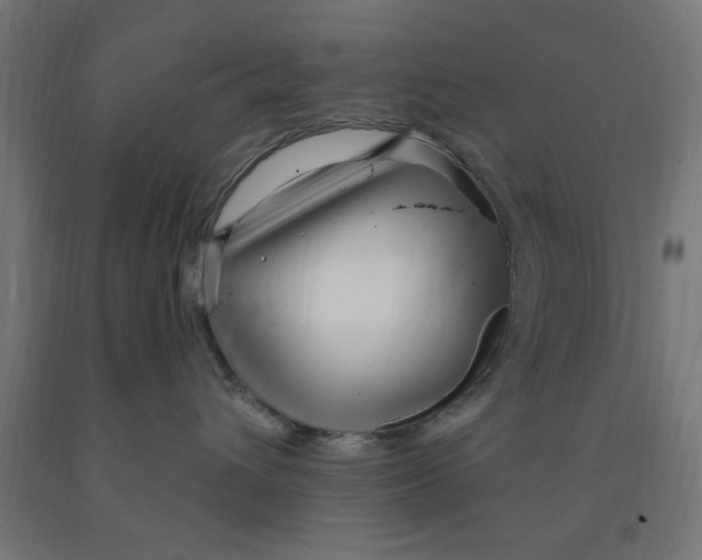 X0000090870432200708241923