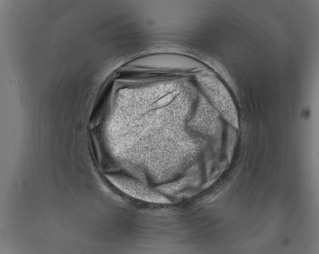 X0000090870433200708241923