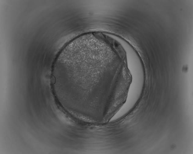 X0000090870434200708241923