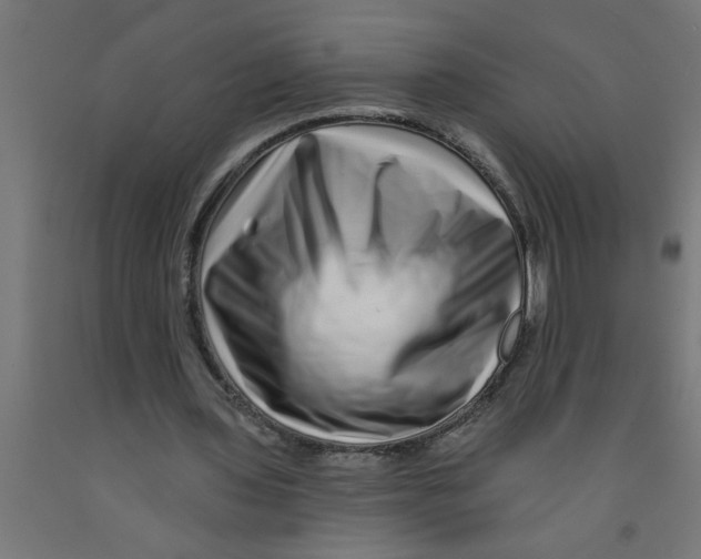 X0000090870435200708241923