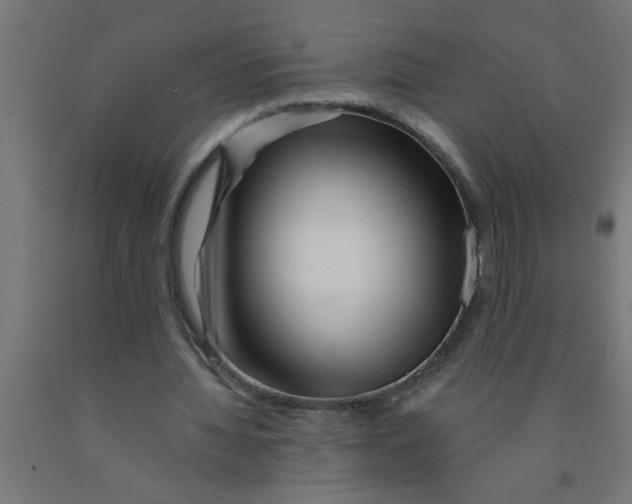 X0000090870436200708241923